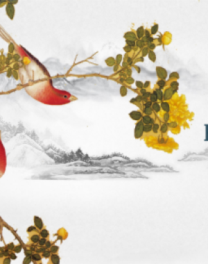 Tải FREE sách Bài 1 Phát Âm Tiếng Trung PDF